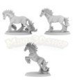 Nightmare Horses - Pack (3M)