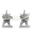 Dark Elf Pack (2 Minis)