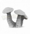 Giant mushrooms 1