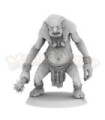 Stone Troll 1 - Brutefist Clan