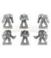 Stone Sentinels Pack - Pack (6M)