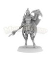 Caelarion, Alta Elfa Guerrera