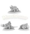 Fire Salamanders - Pack (3M)