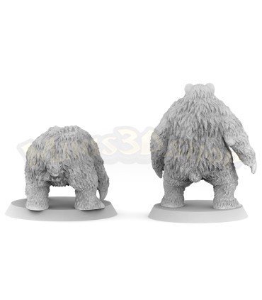 Black bears - Pack (2M)