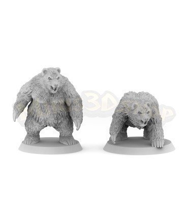 Black bears - Pack (2M)